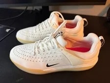 Nike SB — Size 11 - Nike SB Low — Sneaker — resale