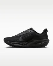 HV8116-002 Nike ACG Pegasus Trail () 2