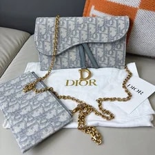 Dior — Excellent Christian Dior Saddle WOC Chain Crossbody — Handbag — resale