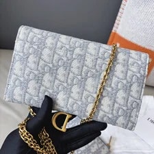 Excellent Christian Dior Saddle WOC Chain Crossbody 3