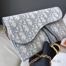 Excellent Christian Dior Saddle WOC Chain Crossbody 4