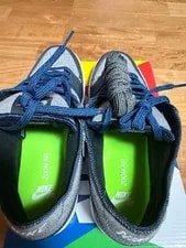 9.5US Nike Sb Dunk Low Pro Dark 3