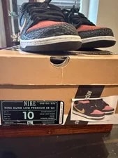 Brooklyn Projects X Nike SB Dunk Low “Walk of Fame” Size 10 Lightly NDS 3