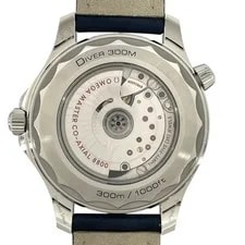 Omega Seamaster 300M 210.32.42.20.06.001 42mm Stainless Steel Gray OKW1541 2