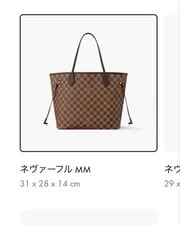 Louis Vuitton Excellent Neverfull 2