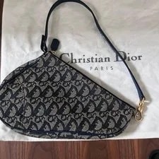 Christian Dior Trotter Saddle Auth Y2K 3