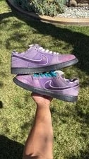 Size 10.5 - Nike SB Dunk Low X Concepts Lobster 3