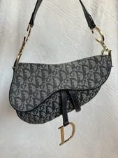 Authentic Dior Saddle 2