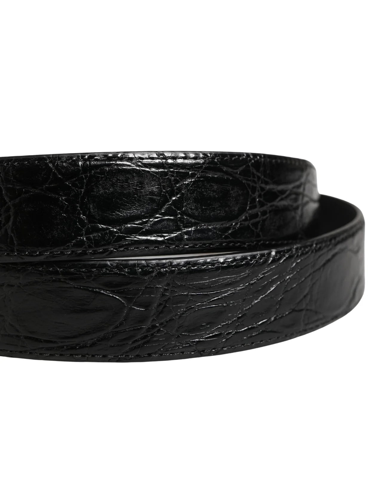 Dolce & Gabbana Exotic Logo Buckle Belt 4