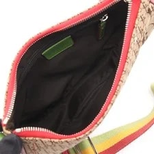 Christian Dior Trotter Saddle #RCB6345 3