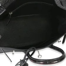 Hermès Mississippiensis Matte Touch Birkin 25 PHW 3