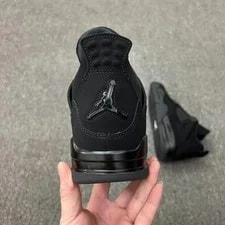 NEW NEW FV5029-010 Air Jordan 4“ Cat 2
