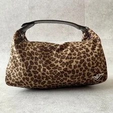 Bottega Veneta Leopard Print Mini Pouch Y2K 2