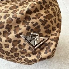Bottega Veneta Leopard Print Mini Pouch Y2K 3