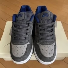 Nike SB — 8.5US Nike Sb Paul Rodriguez Zoom Air Low Dg — Sneaker — resale