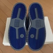 8.5US Nike Sb Paul Rodriguez Zoom Air Low Dg 3