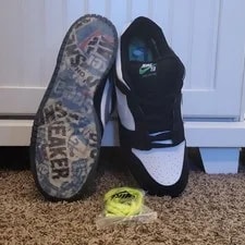 Nike SB Dunk Low Pro / Low Top + Neon Laces 4