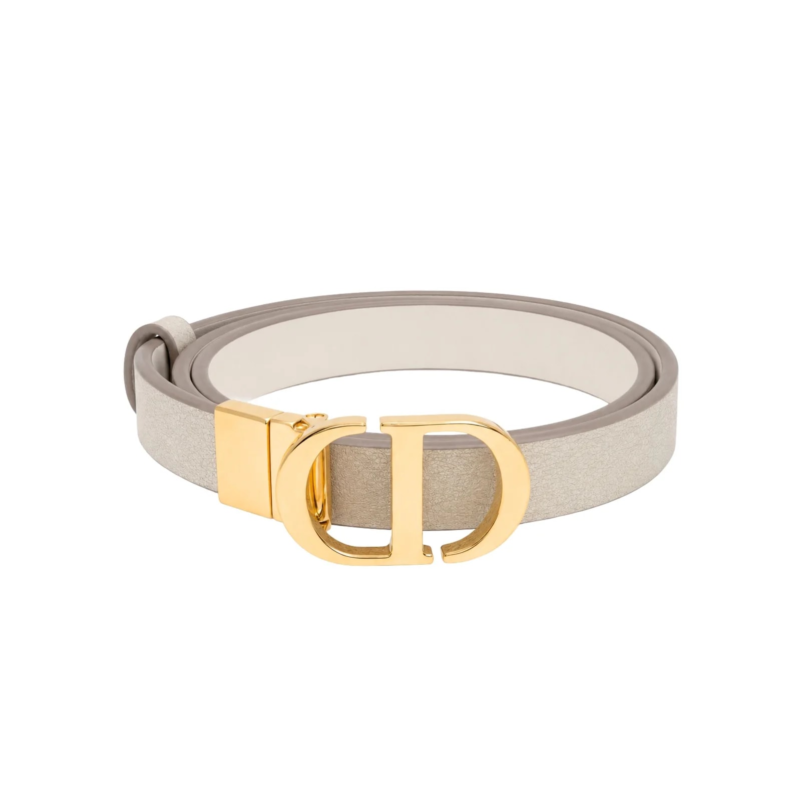 Dior Reversible and CD Belt 2