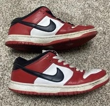 Size 8.5 - Nike SB Dunk Low J-Pack 2020 4