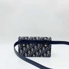 Dior Classic Saddle Waist for 2