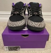 Nike SB Dunk Low Pro Dashawn Jordan Size 13 IB6208-200 Copperhead New in Box 2