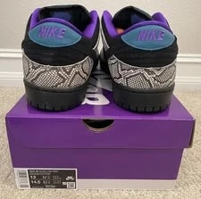 Nike SB Dunk Low Pro Dashawn Jordan Size 13 IB6208-200 Copperhead New in Box 4
