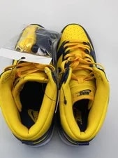 Nike Dunk High Retro SE 29.5cm 3