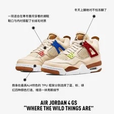 Jordan 4 Retro Where the Wild Things Are (TD) DH0571-264 2