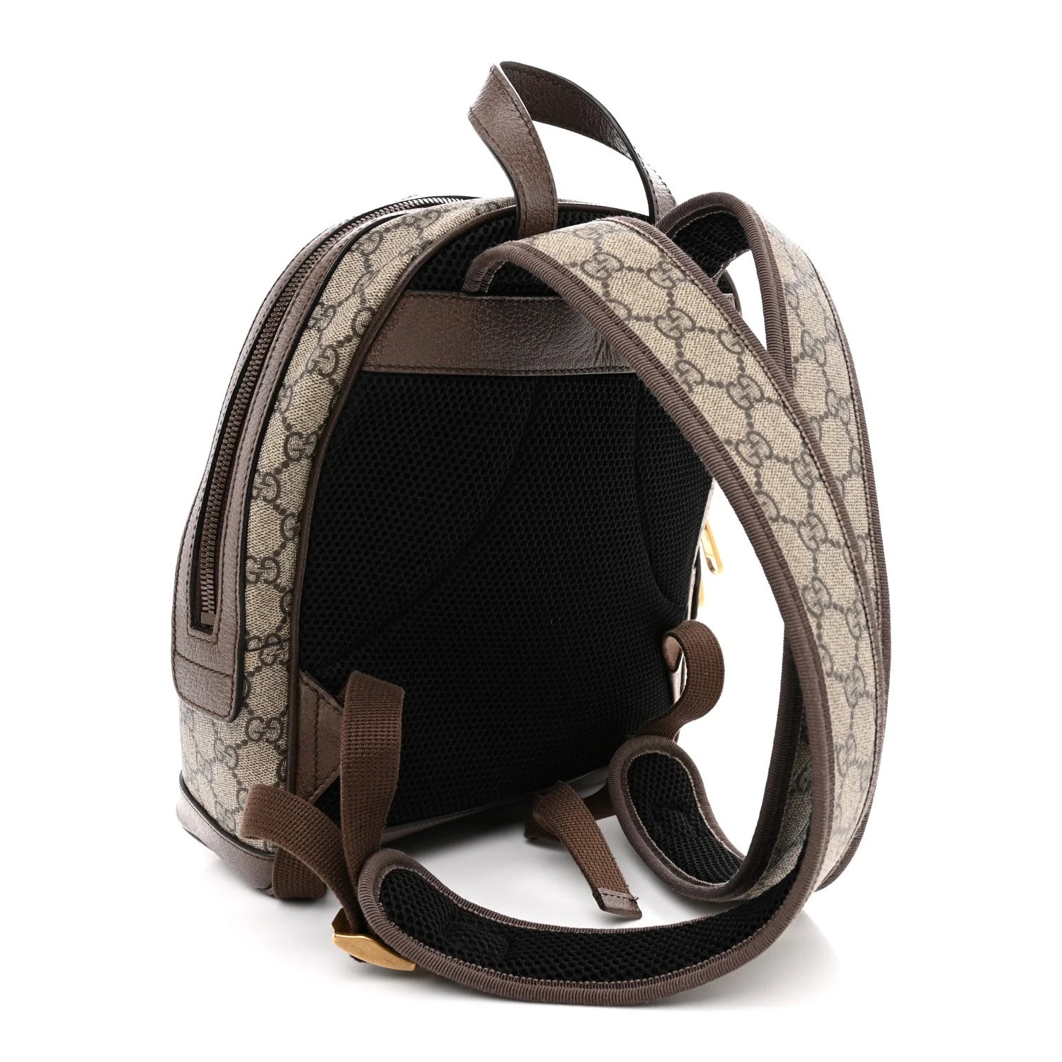 Web Small Ophidia Day Backpack New Acero 3