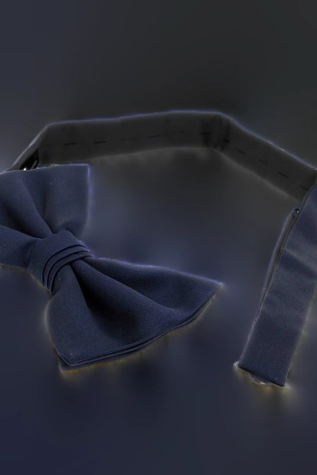 Prada Cravatte E Bow Tie — Exterior: Ties 2