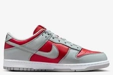 Nike Dunk Low QS "Co.jp Reverse Ultraman" Varsity / FQ6965-600 2
