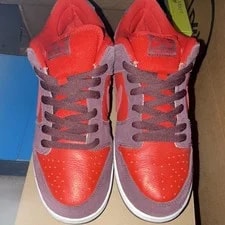 Nike SB Dunk Low Pro Fruity Pack 9.5M Rep Box 2