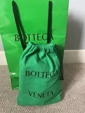 Bottega Veneta Jodie Mini Parakeet 2