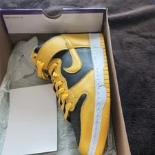 Nike Dunk High SP Iowa 3