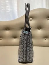 Goyard （20.5×9×20） Cm 3