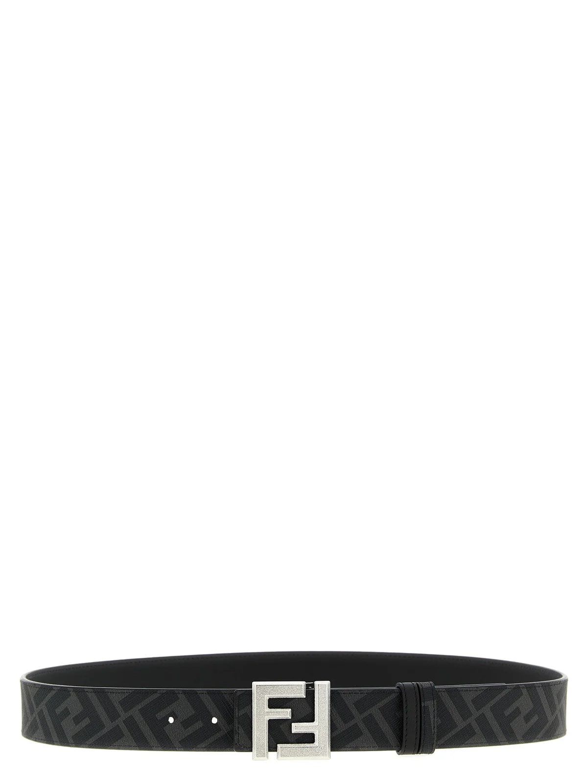 Regular Belt 2