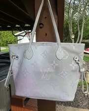 Louis Vuitton Spring in the City Giant Never Full 3