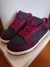 Nike SB — 10.5US Riot Skateshop Nike Sb Dunk Low Pro Qs — Sneaker — resale