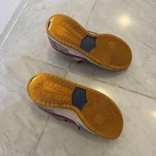 10.0US Rayssa Leal Nike Sb Dunk Low Prm 3