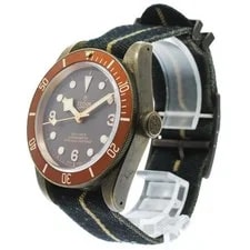 Tudor Heritage Black BAY Bronze 79250BM 43mm Bronze Brown #C21899 2