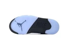 Air Jordan 5 Metallic Reimagined -001 3
