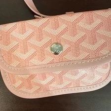 Goyard Anjou W/ Coin , Inner Pockets 2