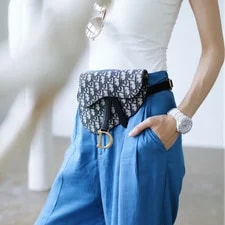 Excellent Christian Dior Saddle Waist Crossbody 2