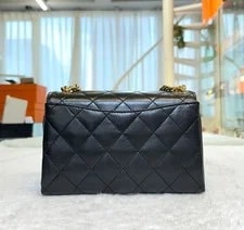 Chanel Lamb Flap Chain 2WAY 148576516 [P] 2