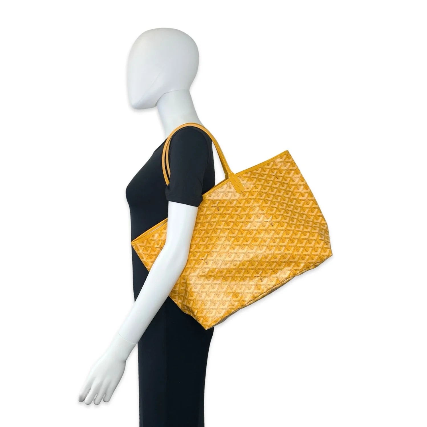 Goyard Goyardine Saint Louis PM 2
