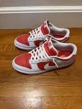 Size 11 - Nike Dunk Low Championship 4