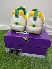 Rastafarian Nike SB Zoom Nyjah (DO9403-100) Size 8.5 OG BOX 4