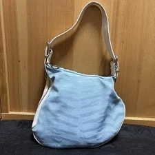 Fendi Y2K Zebra Print Hobo 4