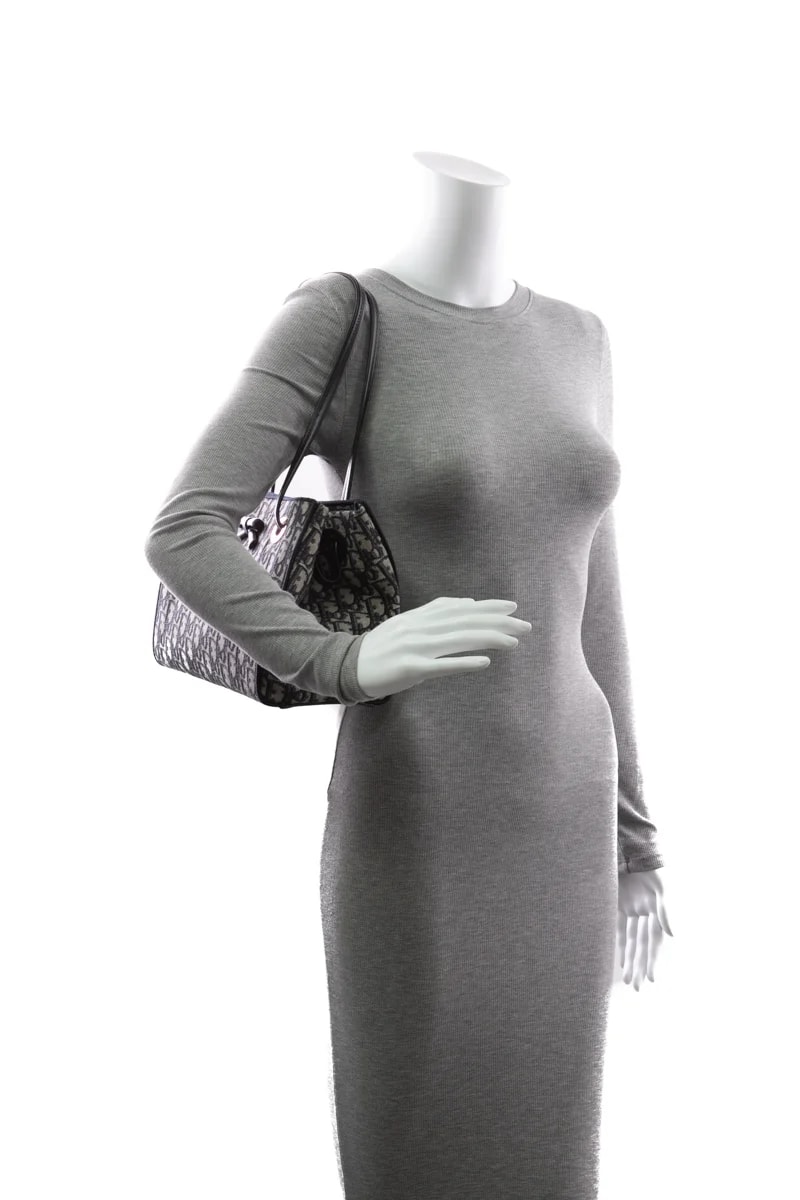 Small Dior Promenade 2