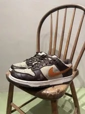 Nike — Nike Dunk Low Pro B Light Mesa -Paul 2002 — Sneaker — resale